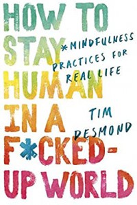 How to Stay Human in a F*cked-Up World: *Mindfulness Practices for Real Life