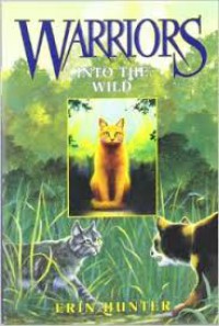 Warriors book 1: into the wild