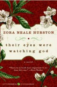 Their eyes were watching God: a novel