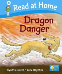 Dragon Danger : First Stories Level 4