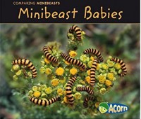 Minibeast Babies : Comparing Minibeasts