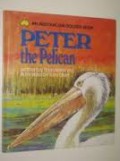 Peter The Pelican