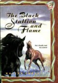 The Black Stallion and Flame: He's Finally Met His Match!